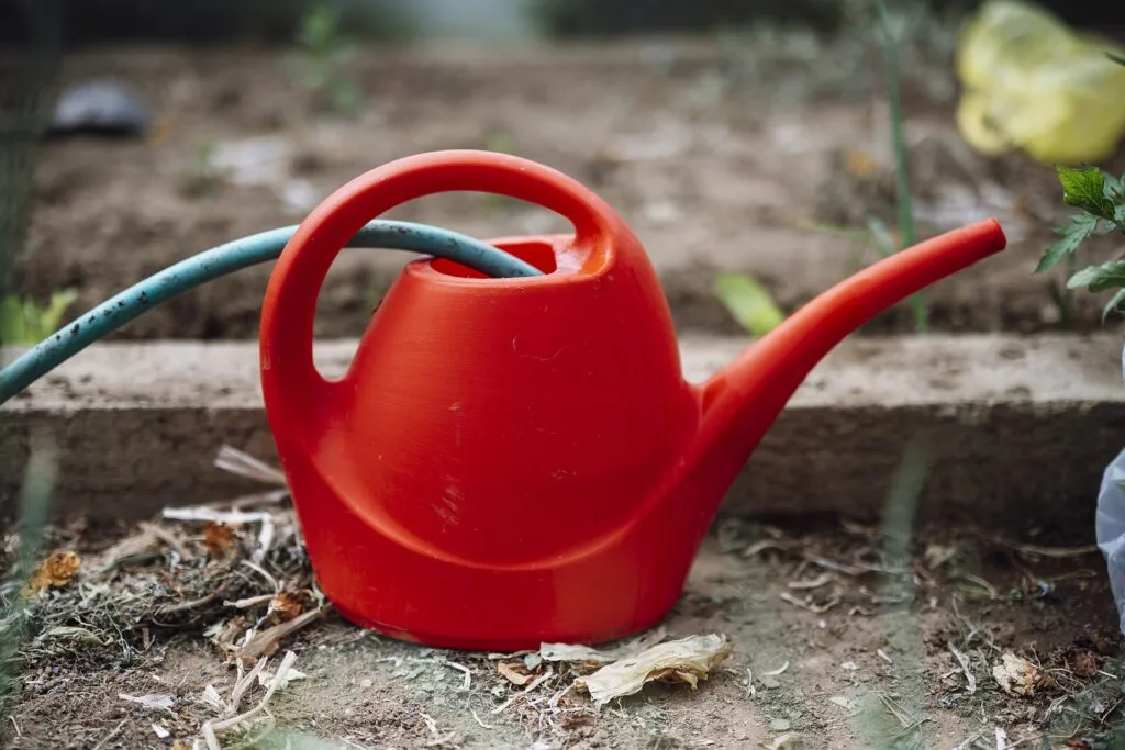 Red long-spout watering can beside a raised garden bed
