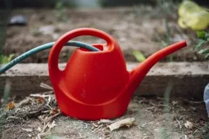 Watering Can