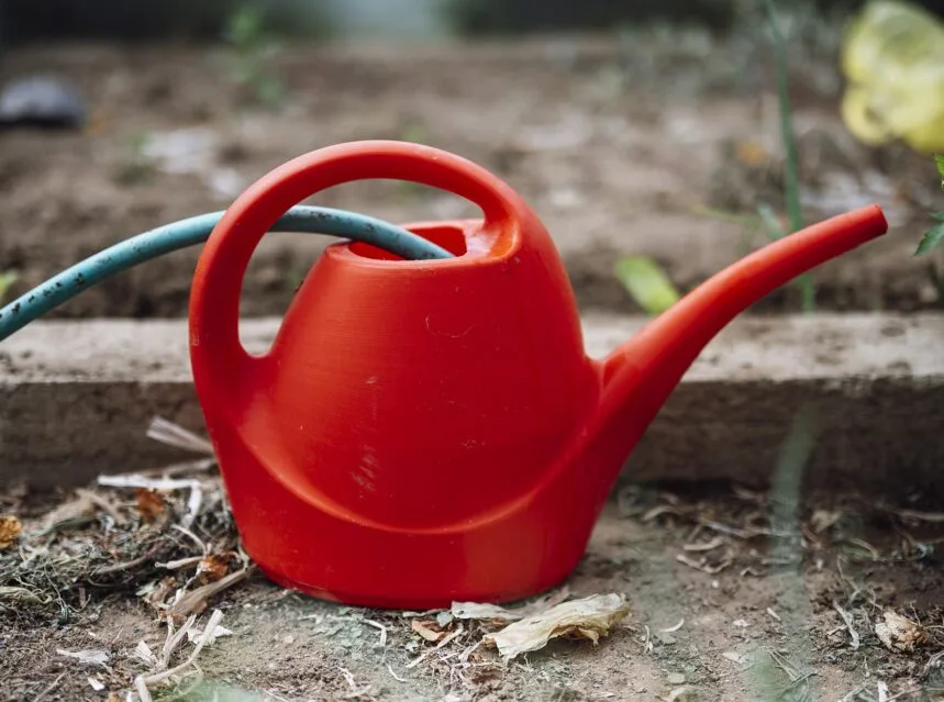 Red long-spout watering can beside a raised garden bed