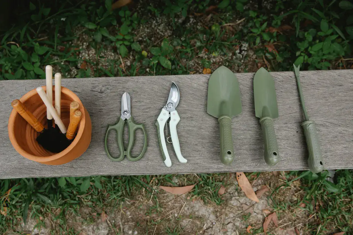 Matching set of garden hand tools laid out on a weathered wooden bench: snips, bypass pruner, two trowels and a weeder beside a terracotta pot of extra tools