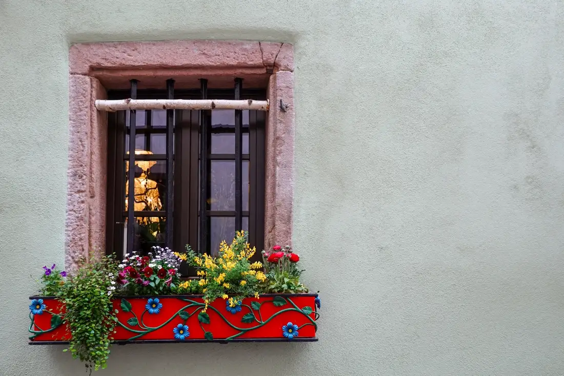 Red metal window box planted with pansies, ranunculus and trailing foliage under a barred window on a stone facade