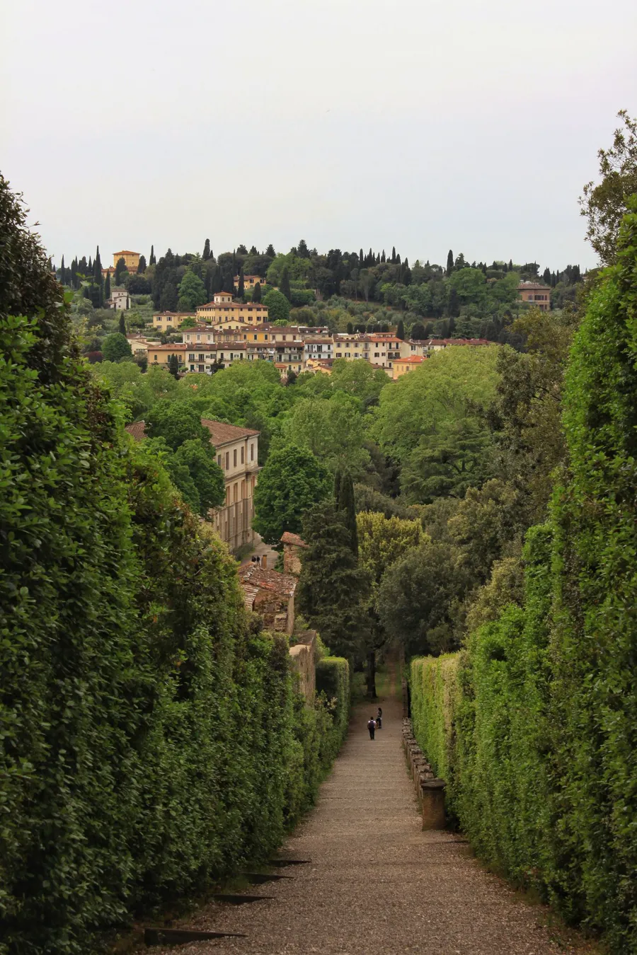 Long gravel avenue running downhill between tall clipped hedges towards the Tuscan hills