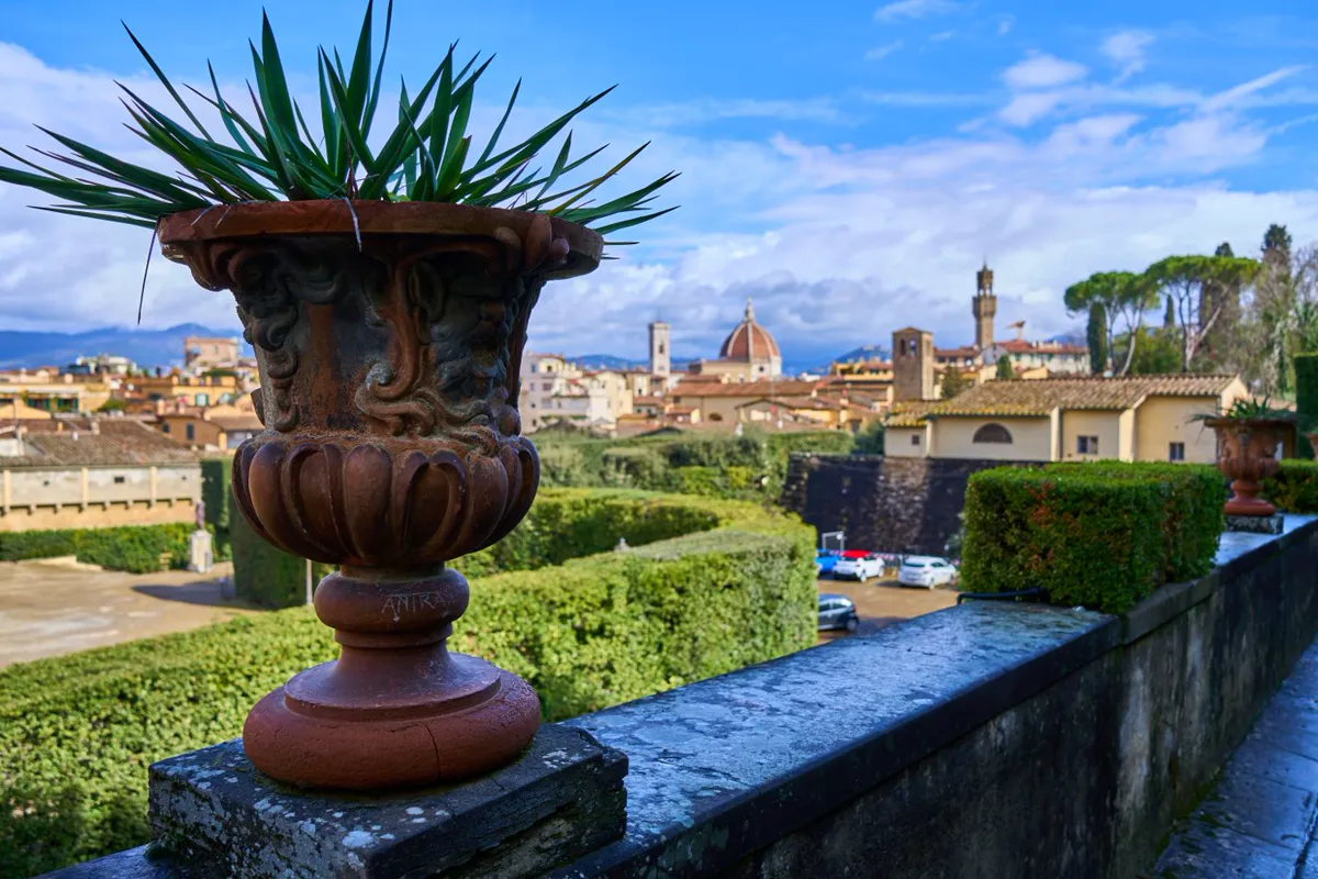 Carved terracotta urn planted on a garden balustrade above clipped hedges and the Florence skyline