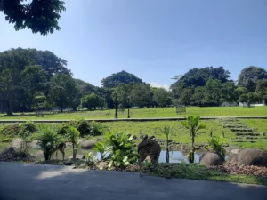 Bogor Botanical Gardens Plants