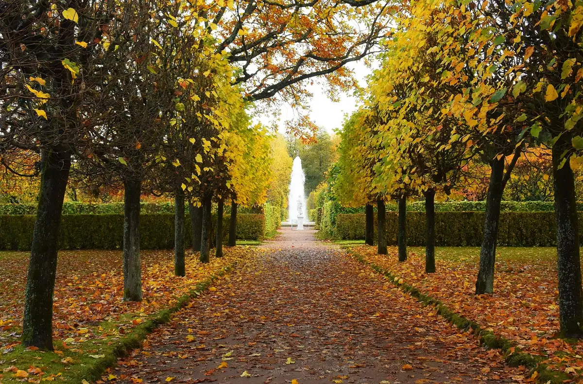 Botanical Gardens — Gardening Guider