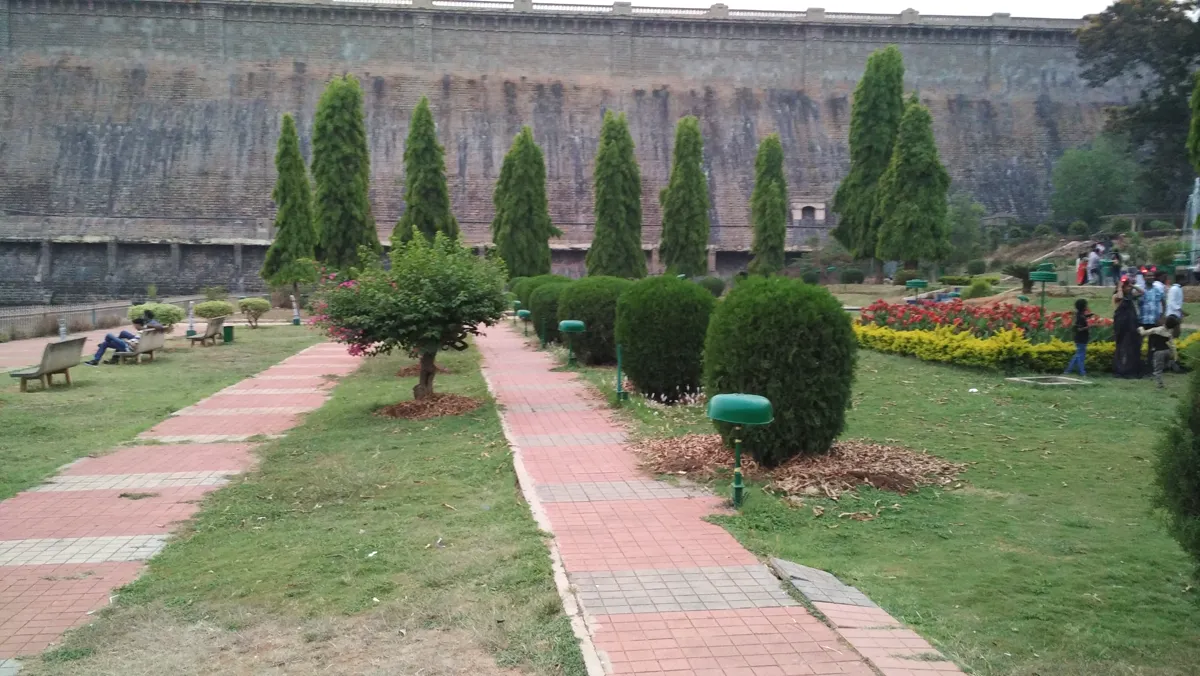 Terraced beds and conical trees below the tall grey masonry wall of the KRS dam