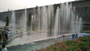 Brindavan Gardens Mysore Plants