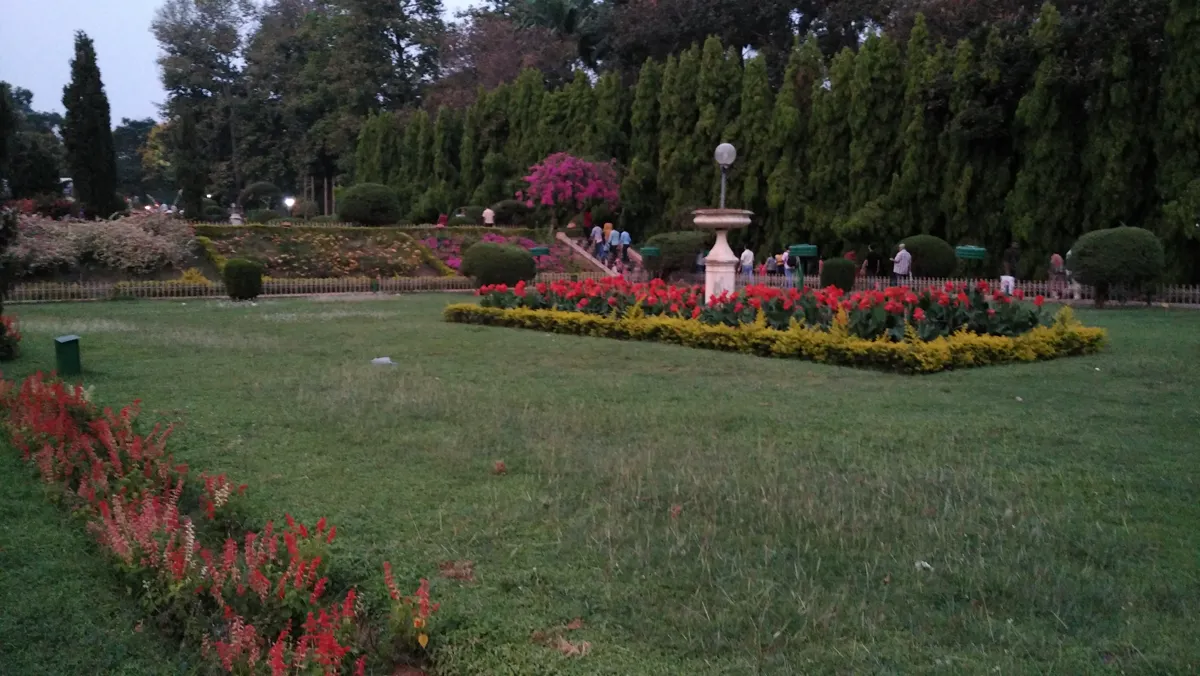 Block of red bedding edged with clipped yellow foliage beside a lawn at Brindavan Gardens
