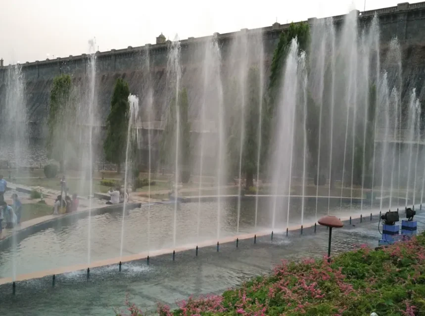 Brindavan Gardens Mysore Plants