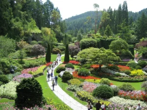Butchart Gardens Flowers