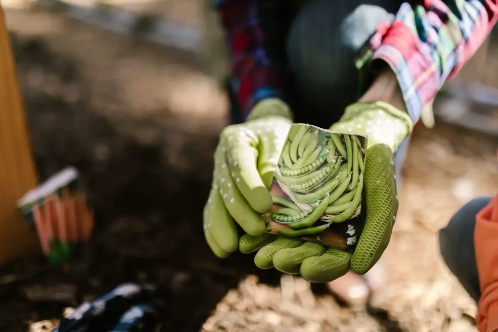 Buying Guide — Gardening Guider