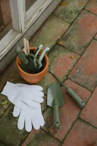 Christmas Gifts for Gardeners