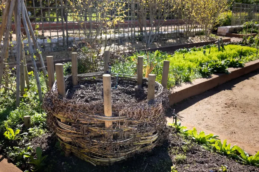Compost — Gardening Guider