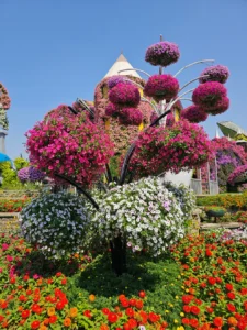 Dubai Miracle Garden Flowers
