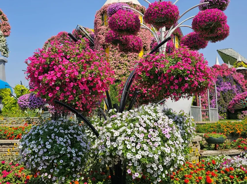 Dubai Miracle Garden Flowers