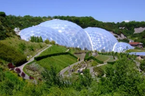 Eden Project Biomes Plants