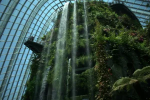 Gardens by the Bay Plants