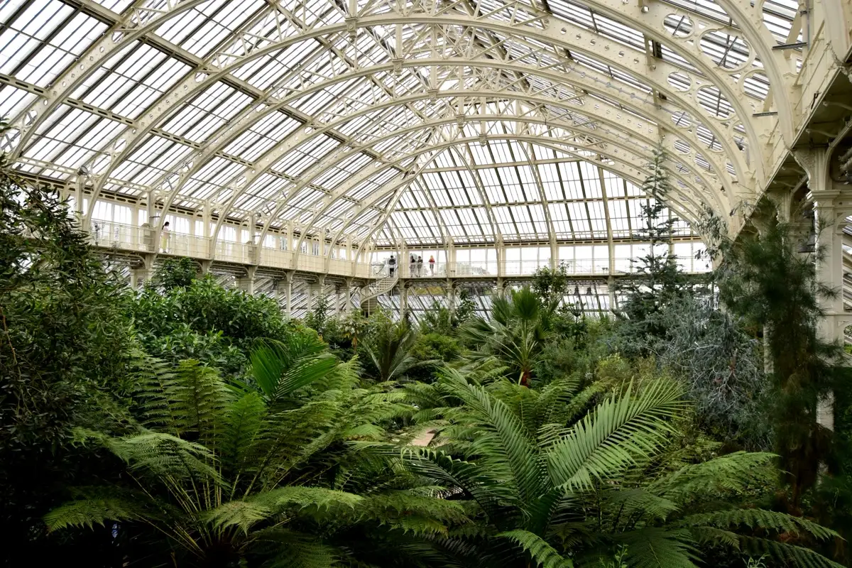 Glasshouse — Gardening Guider