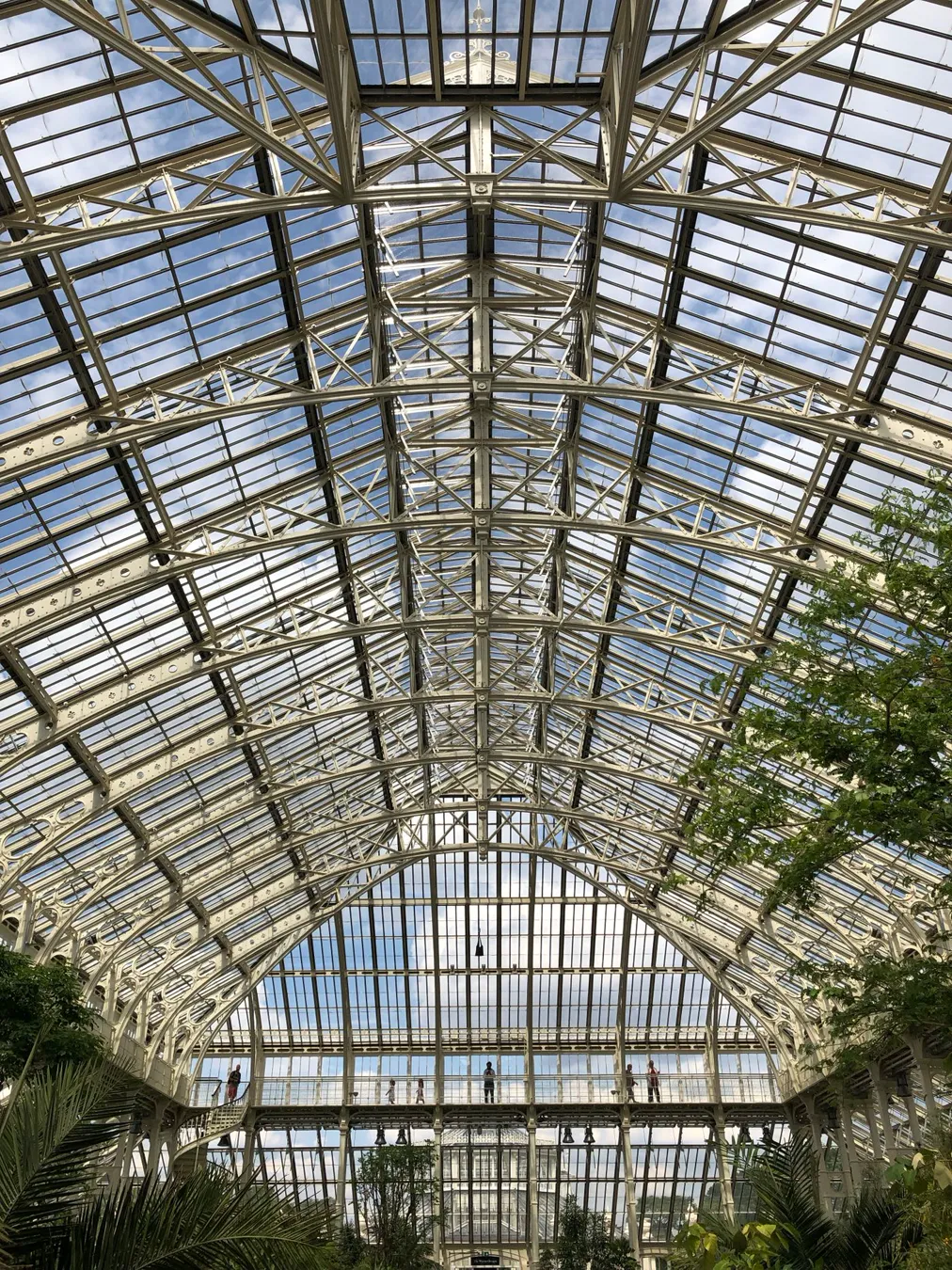 Interior ironwork and glass roof of a large Victorian glasshouse with a high walkway