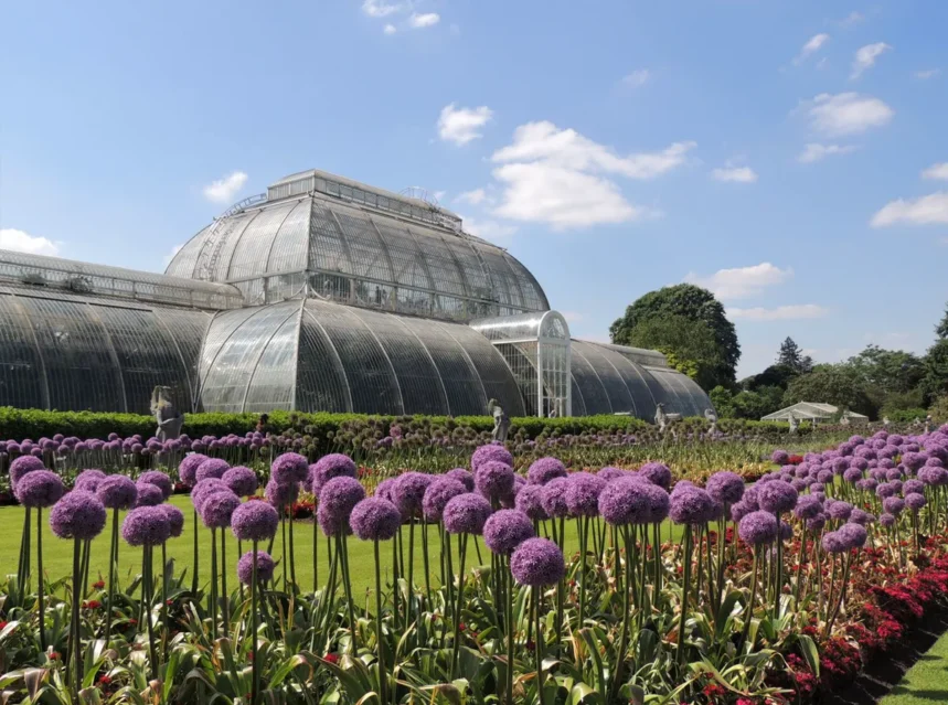 Kew Gardens Plants