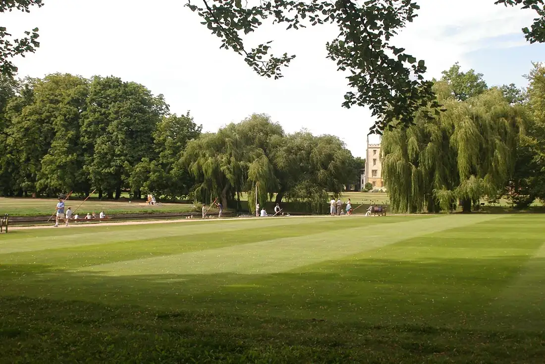 Wide stripe-mown green lawn in a park with mature trees behind