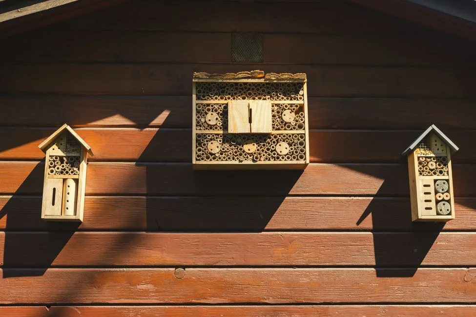Three small wooden bee houses fixed to a sunlit shed wall