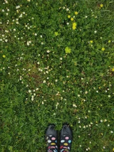 No Mow May