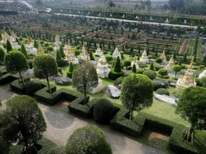 Nong Nooch Tropical Garden Plants