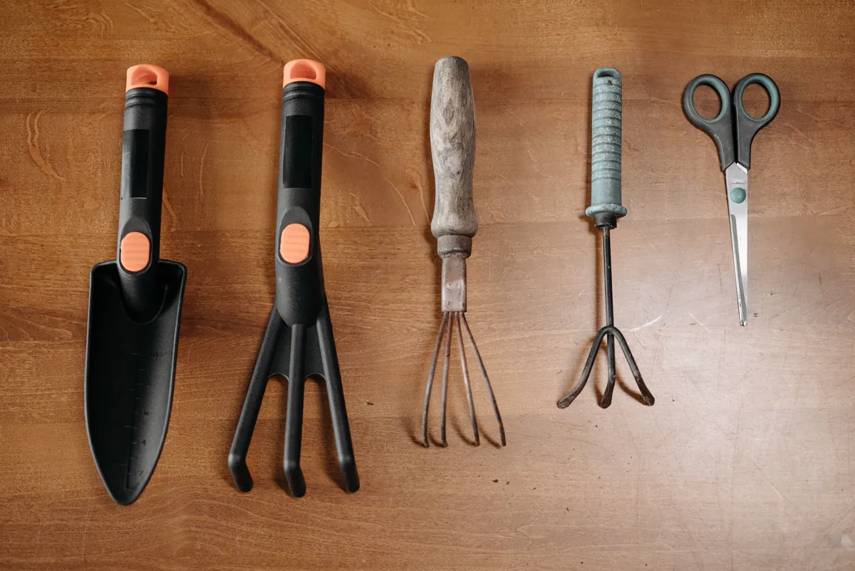 Trowel, hand fork, rake and snips laid out on a workbench, the jobs these free gardening tools plan for