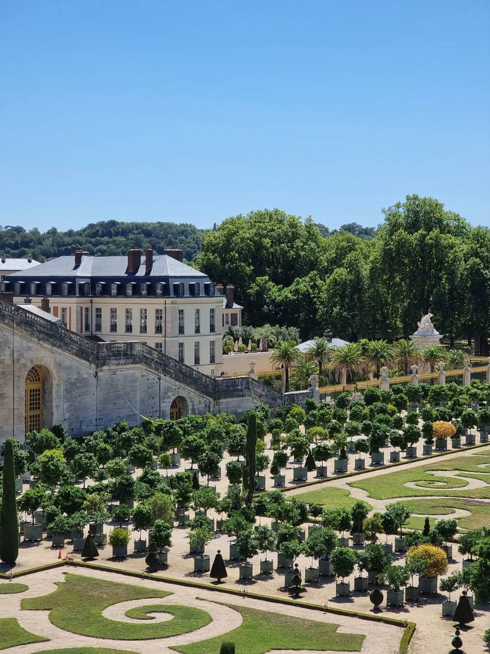 The Orangery building at Versailles with rows of citrus trees in square wooden tubs on the gravel parterre below