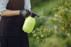 Vinegar Weed Killer