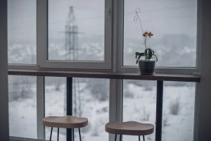 Winter Houseplant Care