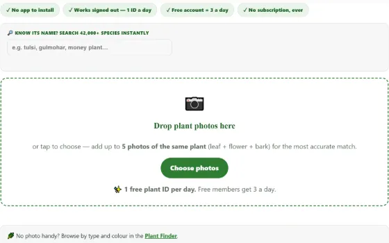 The Plant Identifier names any plant from a photo — snap it, know it, and jump straight to its full care guide.